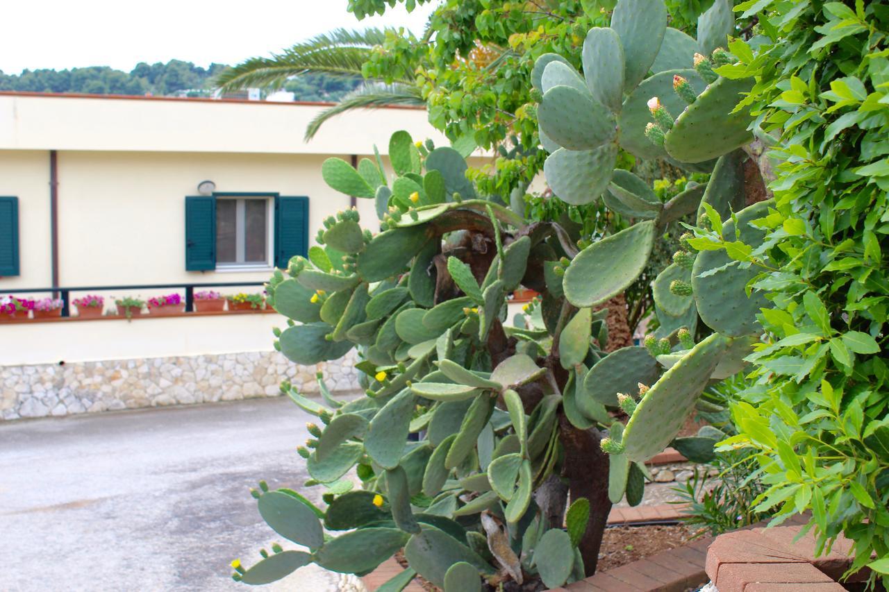 Villaggio Turistico Defensola Vieste Bagian luar foto